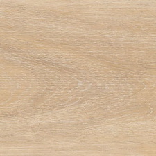 Desert sand 1026a